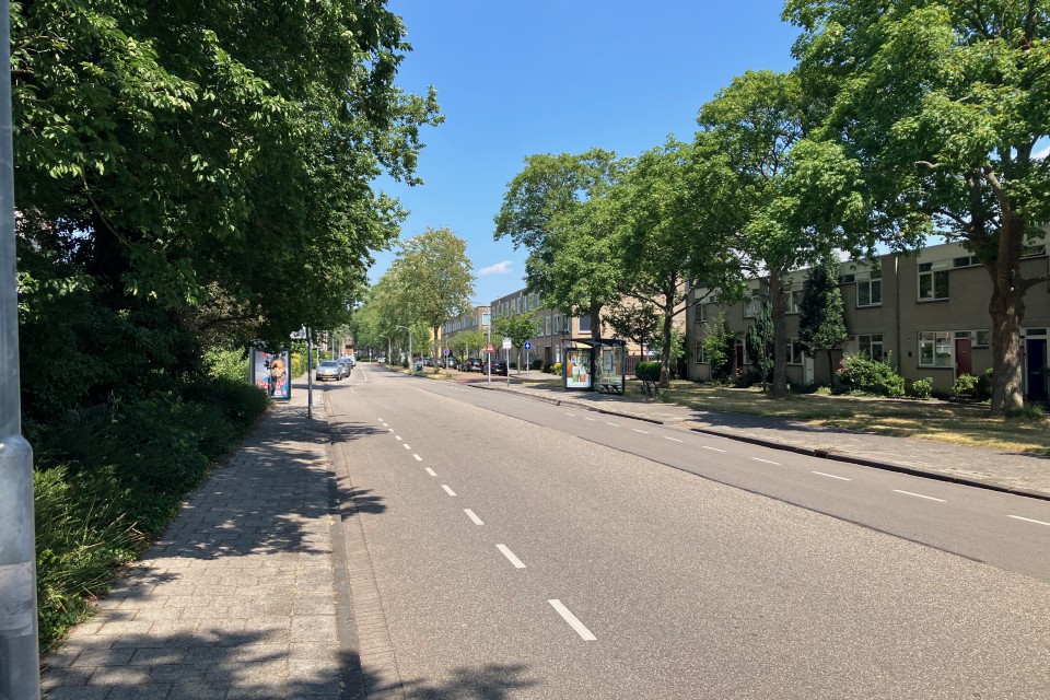 Foto 11: Eén van de weinige stukjes groen