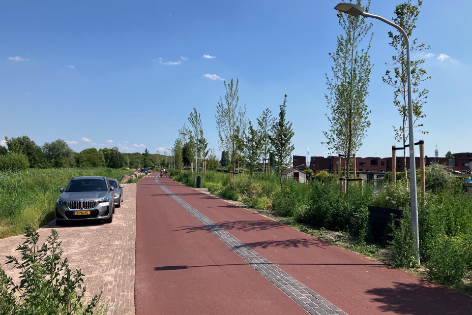 Foto 13: Spaarndamseweg. Wat is hier gebeurd? Hier stonden toch hele grote bomen