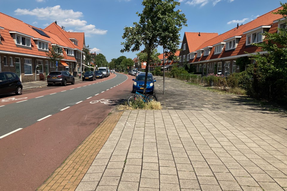 Foto 2: Kan het iets minder versteend. En mogen er wat grotere bomen komen?