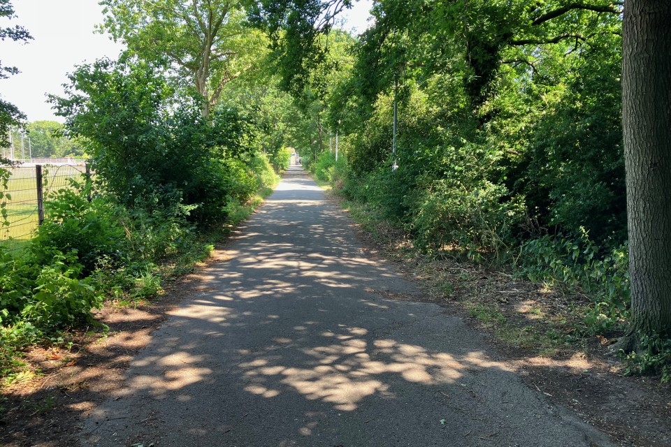 Foto 8: Wat een lekkere koelte