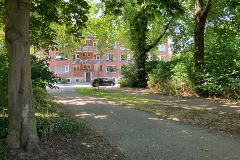 Foto 9: Stukje Schoterbos overgeslagen bij de transitie