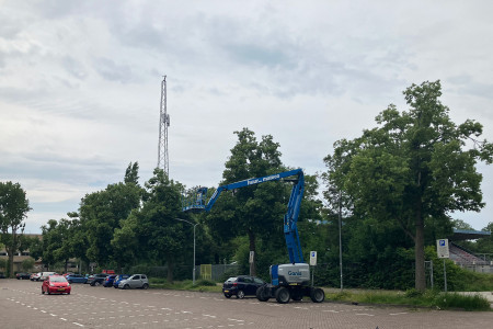 Bosrand naast Edo veld